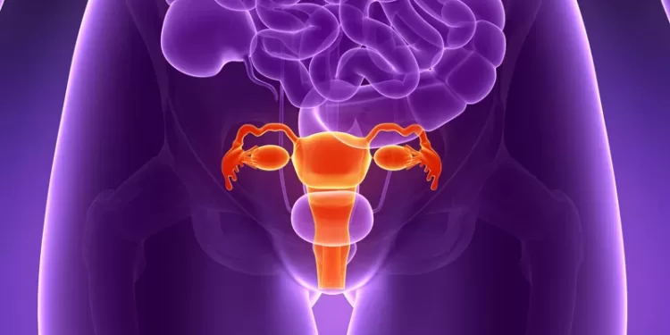 საშვილოსნოს ყელის კიბო | ფოტო