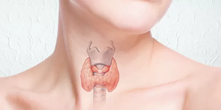 ფარისებრი ჯირკლის დაავადებები | ფოტო