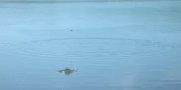 Камни в почках