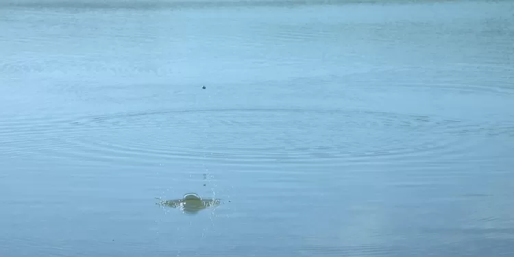 Камни в почках