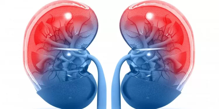 Боль в почках