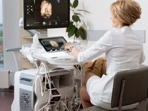 ეიმი ექოსკოპისტი | ფოტო