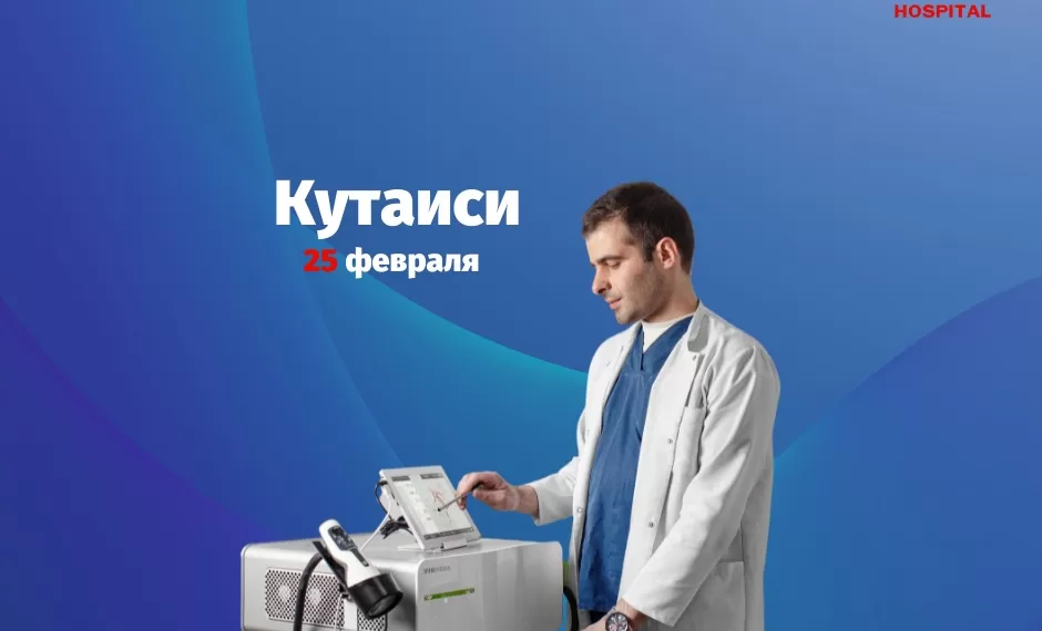 Гиорги Бурджалиани - визит Кутаиси | фото