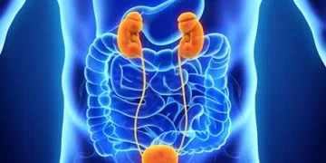 Urinary tract infection | Photo